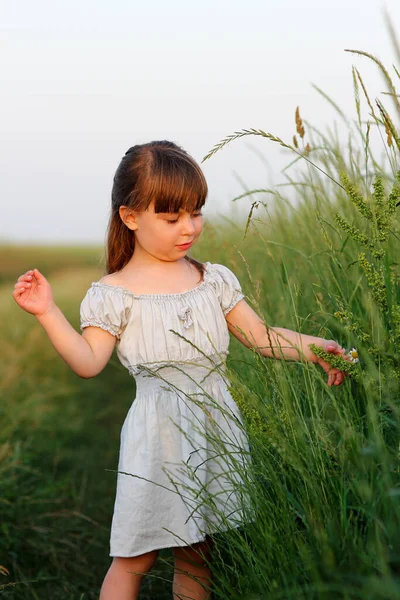 Lycka Koncept Liten Lycklig Flicka Nära Grönt Fält — Stockfoto