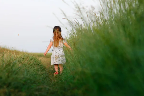 Vrijheid Concept Weinig Gelukkig Meisje Buurt Groen Veld — Stockfoto