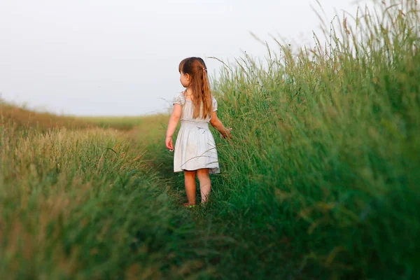 Freedom Concept Little Happy Girl Green Field — Stock Photo, Image