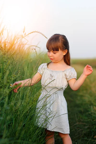 Conceito Felicidade Pequena Menina Feliz Perto Campo Verde — Fotografia de Stock