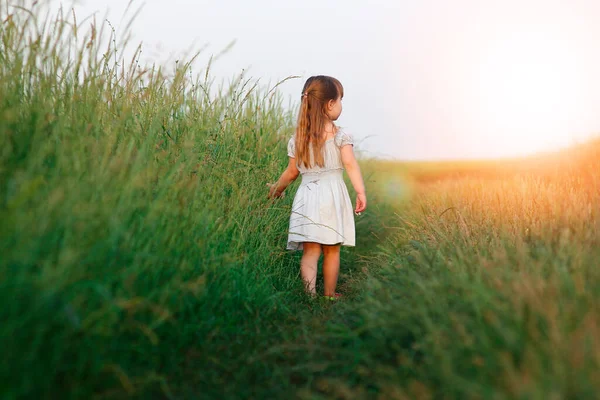 Conceito Liberdade Pequena Menina Feliz Perto Campo Verde — Fotografia de Stock