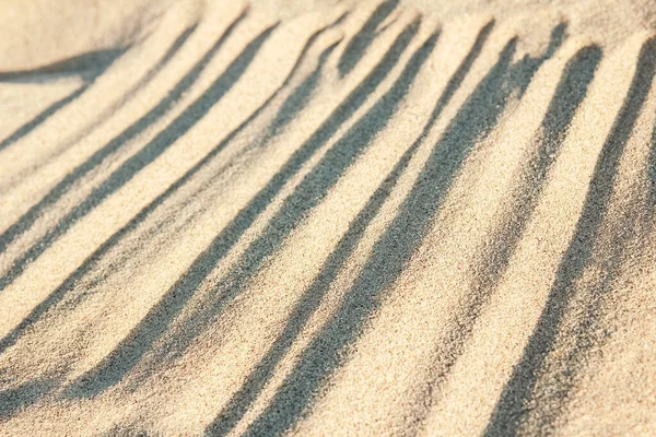 Schöne Zeichnungen Auf Dem Sand Des Meeres — Stockfoto