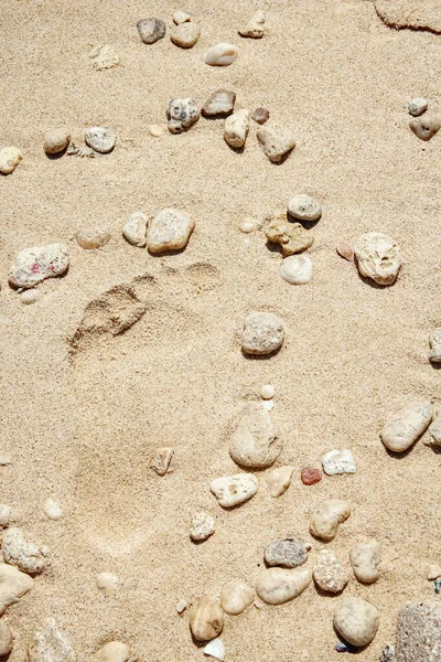 Prachtig Zand Bij Zee Natuur Achtergrond — Stockfoto