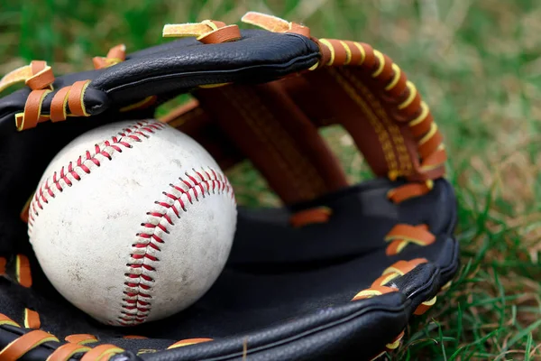 Baseballball Mit Handschuh Und Schläger Auf Die Natur — Stockfoto