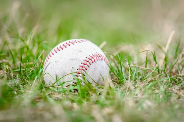 Conceito Bola Beisebol Natureza Parque Campo — Fotografia de Stock