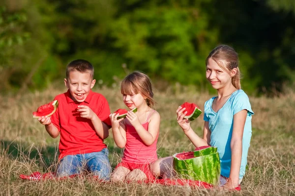 공원에서 자연에 수박의 개념을 아이들 — 스톡 사진