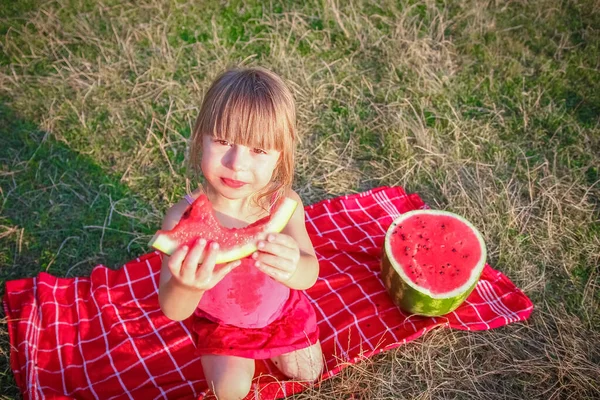 Criança Feliz Comendo Conceito Melancia Natureza Parque — Fotografia de Stock