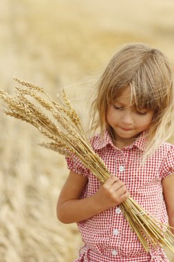 Buğday ile sahada küçük kız
