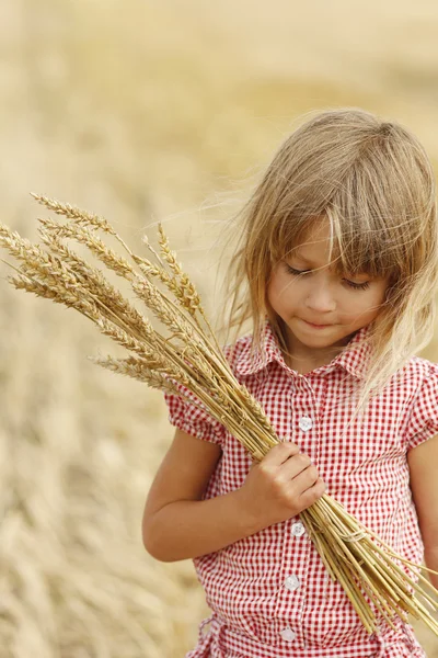 Little girl on the field with wheat — Stock Photo, Image