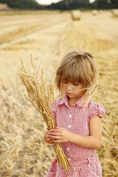 Meisje op het veld met tarwe — Stockfoto