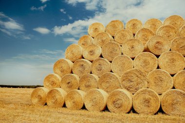 Haystacks yaz göğün üzerinde