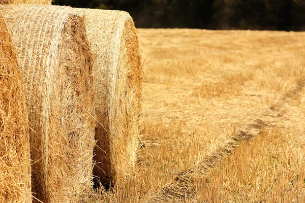 Golden Haystacks field — Stock Photo, Image