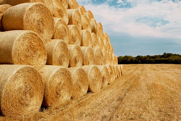 Haystacks sobre el cielo de verano —  Fotos de Stock