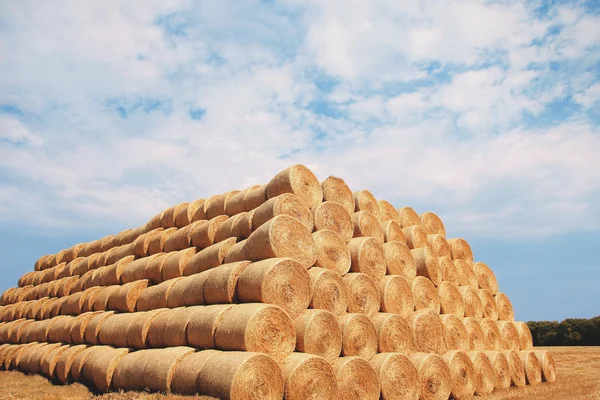 Haystacks over summer sky — Stock Photo, Image