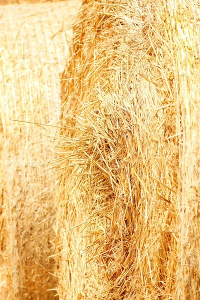 Golden Haystack texture — Stock Photo, Image
