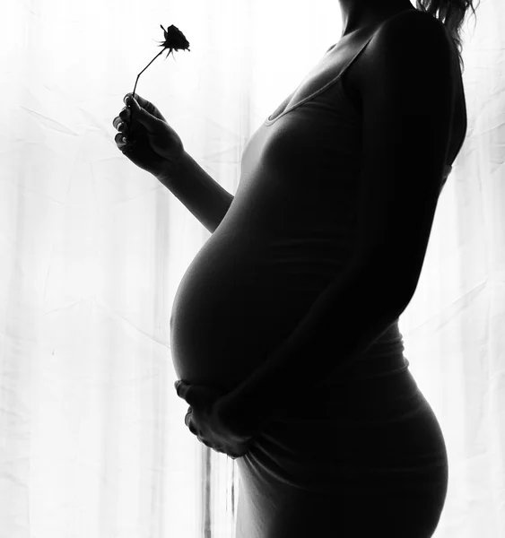 Silueta de mujer embarazada — Foto de Stock