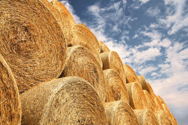 Haystacks sobre el cielo de verano — Foto de Stock