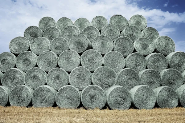 Haystacks sobre céu de verão — Fotografia de Stock