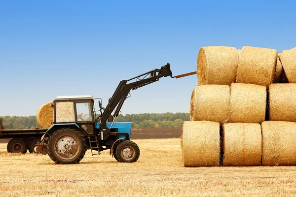 Sárga haystacks traktor — Stock Fotó