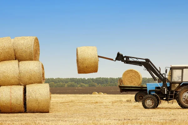 Tractor with yellow haystacks — Stock Photo, Image