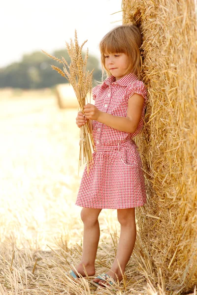 Dziewczyna z grono pszenicy — Zdjęcie stockowe