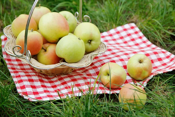 Green apples in basket — Stock Photo, Image