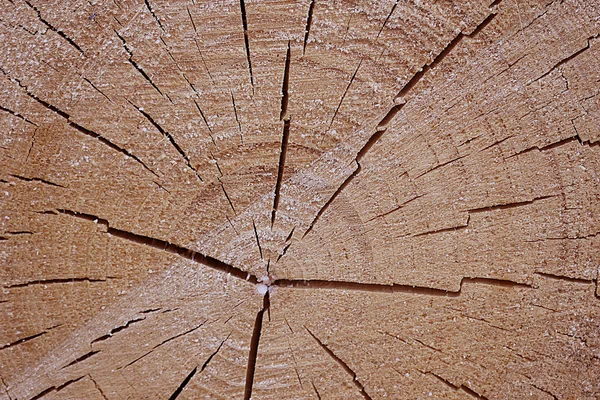 Background of old wood — Stock Photo, Image