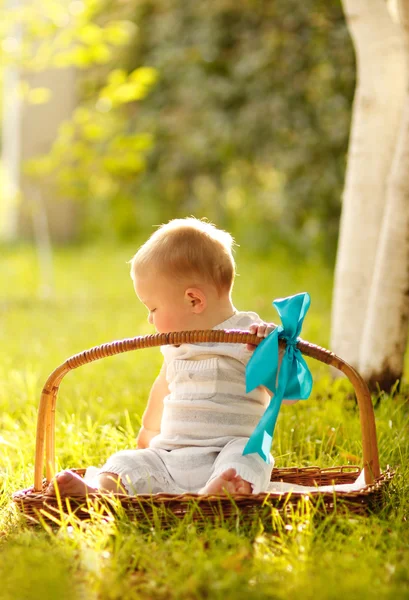 Pojken sitter på gräset med korg — Stockfoto