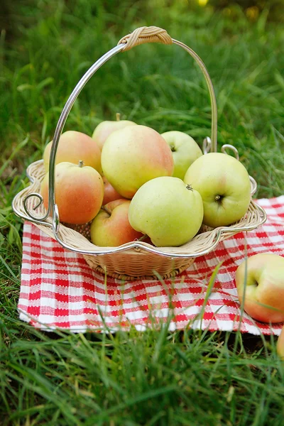 Green apples in basket — Stock Photo, Image