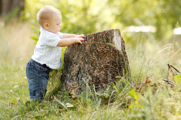 Boy playing near stump — Stock Photo, Image