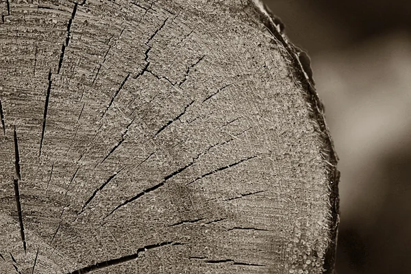 Sfondo di legno vecchio — Foto Stock