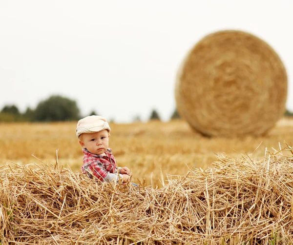 Kleiner Junge spielt auf dem Feld — Stockfoto