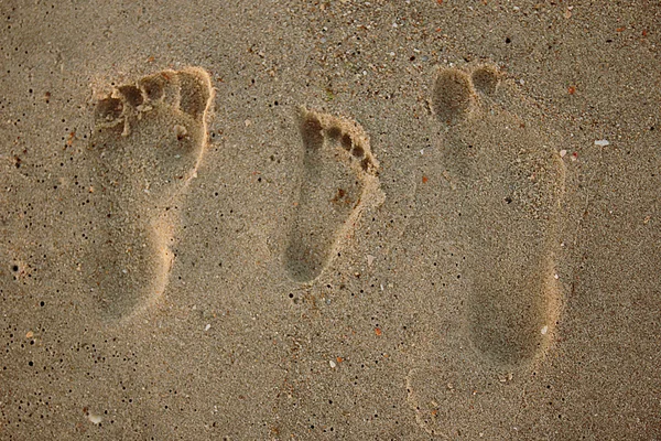 Familie voetafdrukken in het zand — Stockfoto
