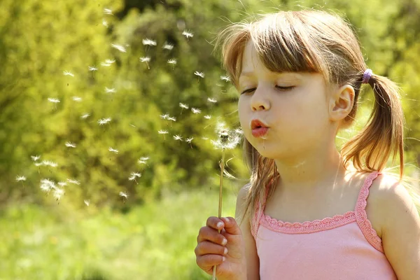 Girl blowing on a dandelion — Stock Photo, Image