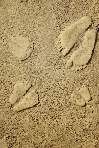 Familj fotspår i sanden — Stockfoto