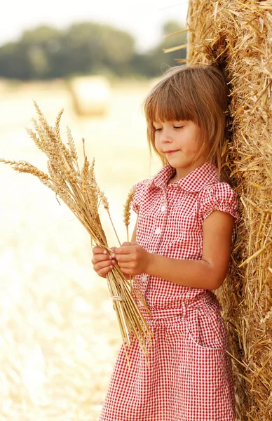 Little girl on the field with wheat — Stock Photo, Image