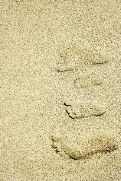 Footprints on sandy beach — Stock Photo, Image