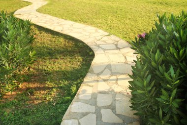 Patika boyunca gezinti