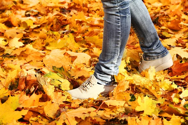Piedi su foglie di autunno — Foto Stock