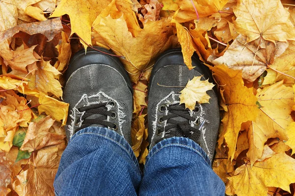 feet on autumn leaves