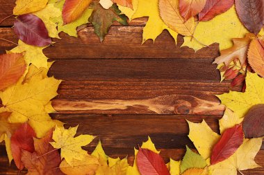 sonbahar yaprakları arka plan