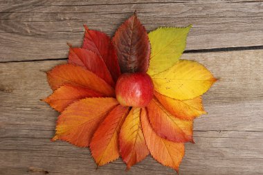 sonbahar yaprakları arka plan