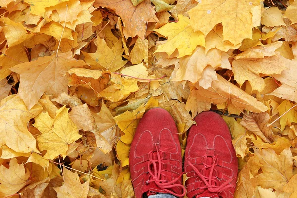 Feet on autumn leaves — Stock Photo, Image