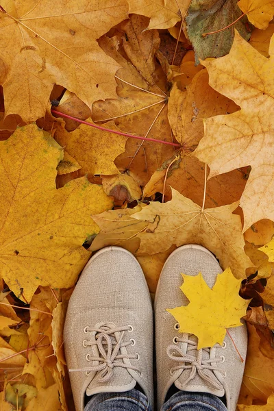 Pieds sur les feuilles d'automne — Photo