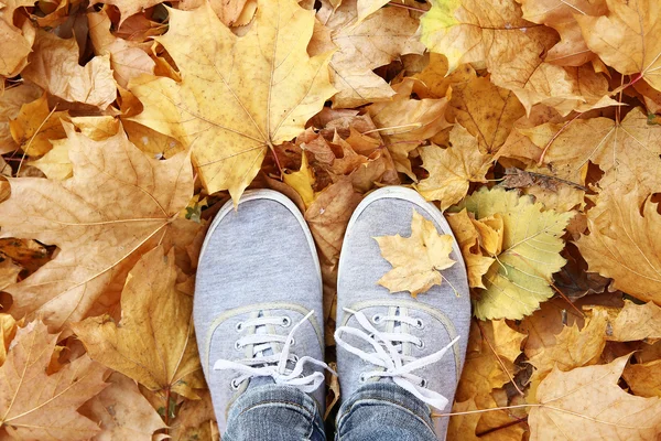 Pieds sur les feuilles d'automne — Photo