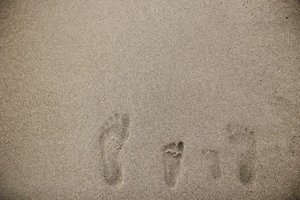 Familie voeten op het zand — Stockfoto