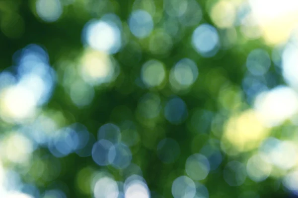 Grüner Hintergrund — Stockfoto