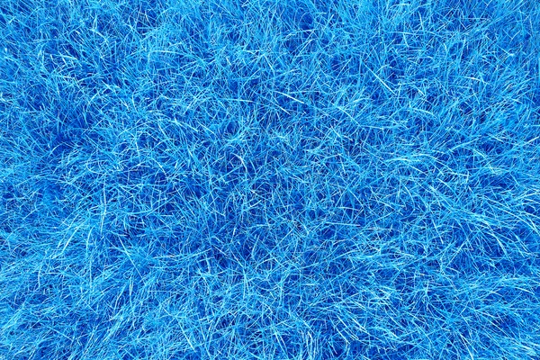 Niebieskim tle trawy — Zdjęcie stockowe
