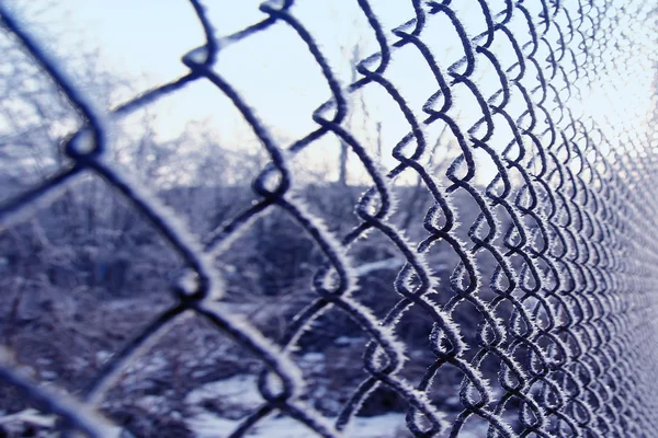 Fondo de malla invierno — Foto de Stock