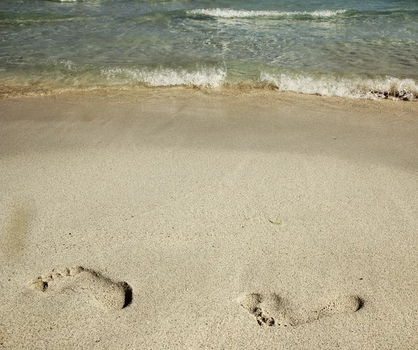 Familie voeten op het zand — Stockfoto